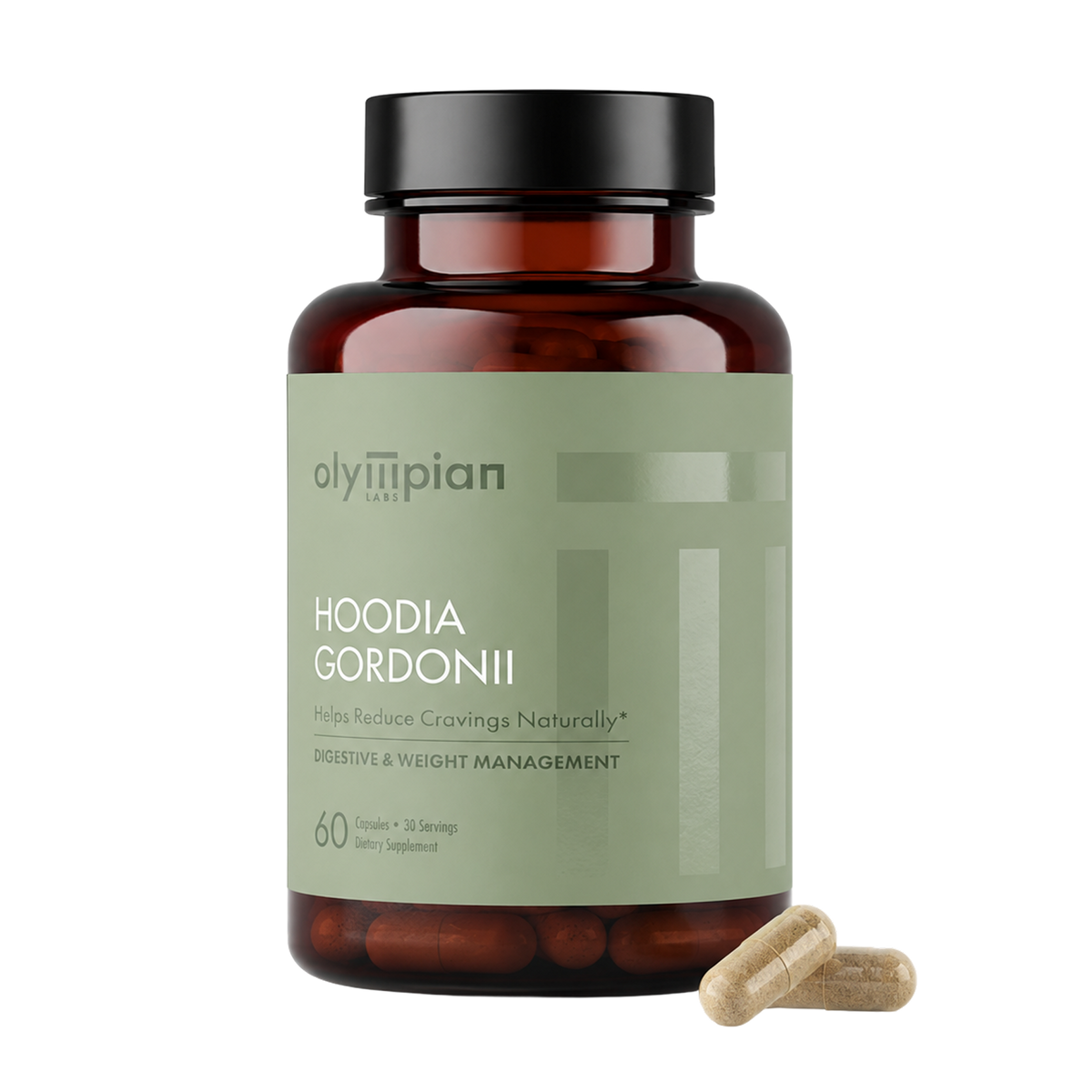 Hoodia Gordonii