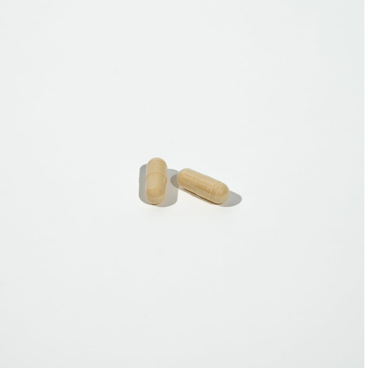 Two wooden cylindrical objects on a white background