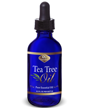 Tea Tree oil main image