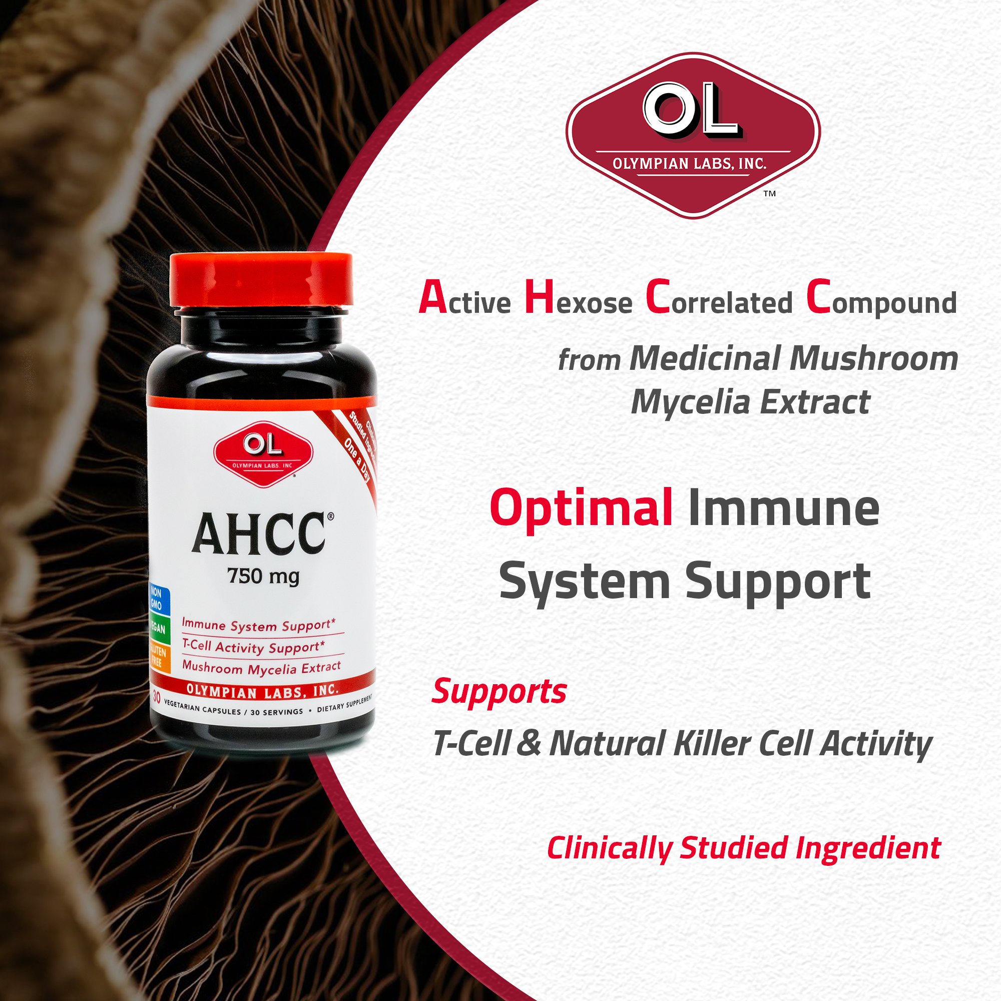 売り限定 AHCC 健康用品